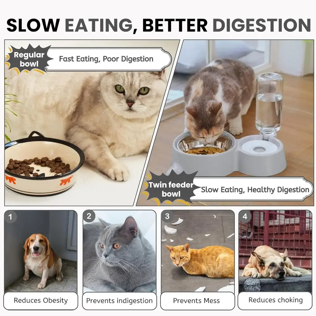 Foodie Puppies 2in1 Pet Feeding Bowl and Water Bottle Set for Puppies and Cats _ Stainless Steel Bowl _ Wet and Dry Food Bowl with Automatic Water Flowing Dispenser Bottle, (Twin Feeder)6.webp