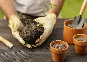 Oblivion Gardening Tool Set 4 Pcs – Pruner Shears, Hand Cultivator, Trowel & Fork with Wooden Handle for Planting, Weeding, Pruning & Soil Maintenance, Farming Equipment & Essential Garden Kit4.webp