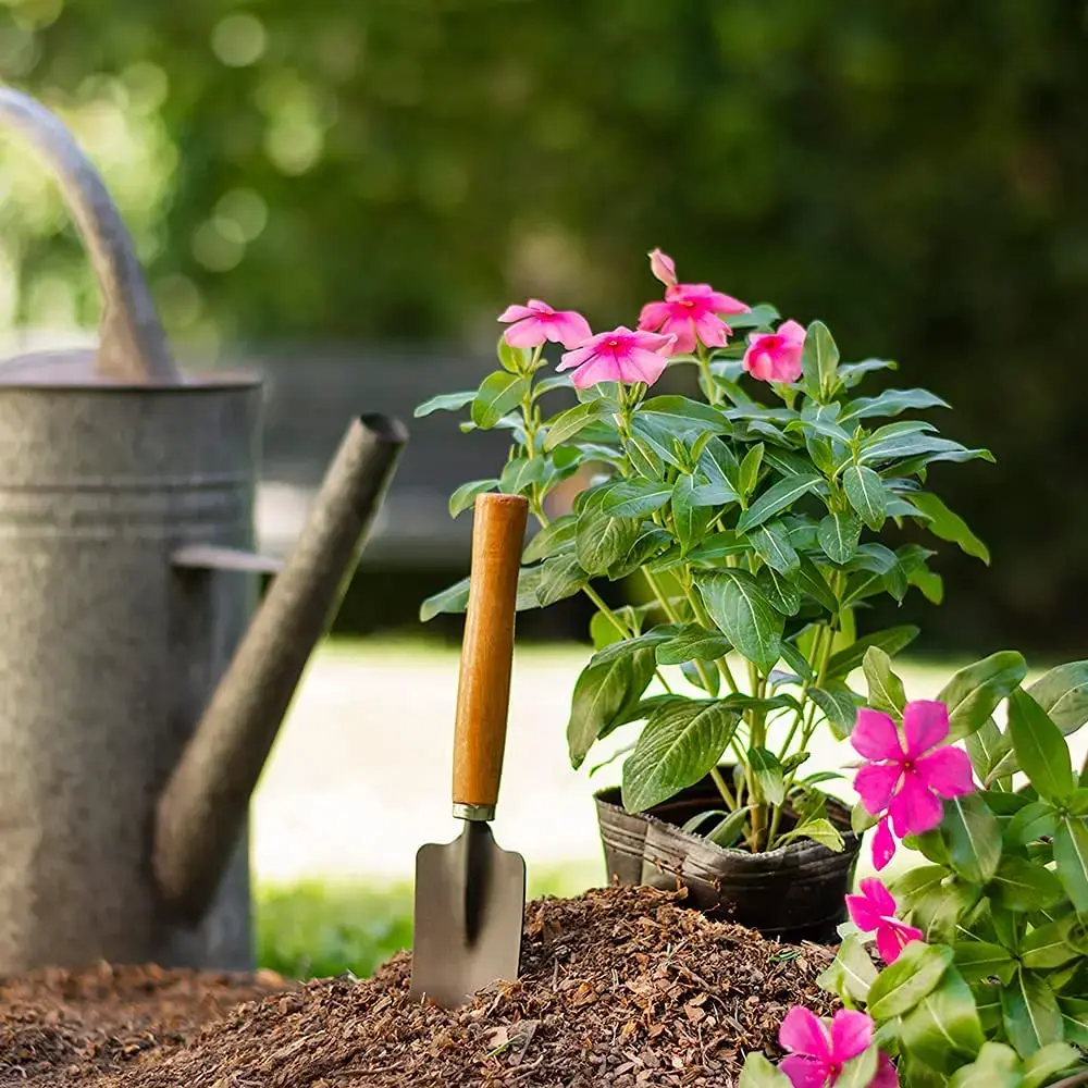 Oblivion Gardening Tool Set 4 Pcs β Pruner Shears, Hand Cultivator, Trowel & Fork with Wooden Handle for Planting, Weeding, Pruning & Soil Maintenance, Farming Equipment & Essential Garden Kit1.webp