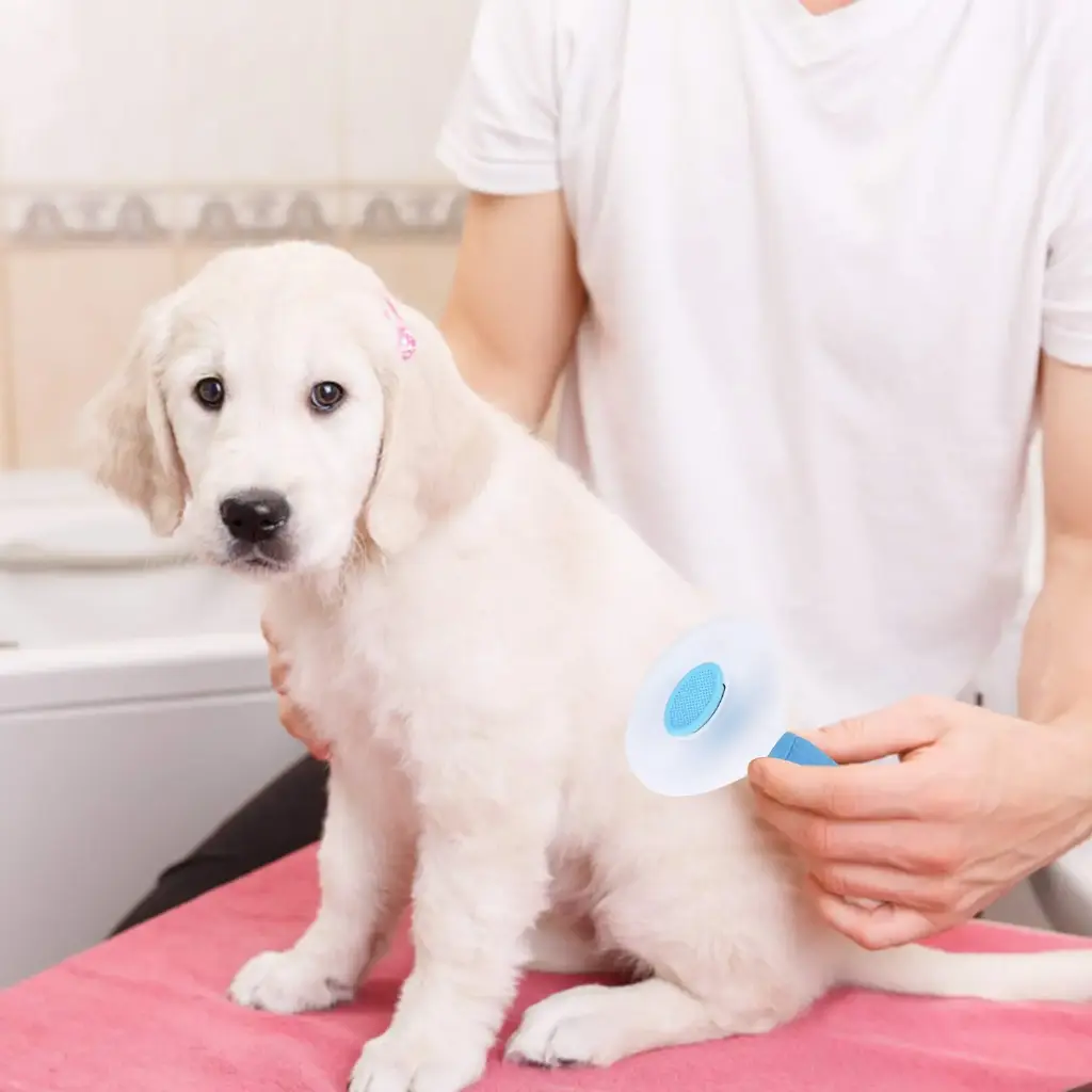 Depets Self Cleaning Slicker Brush, Pet Grooming Shedding Brush for Dogs and Cats - Easy to Remove Loose Undercoat, Pet Massaging Tool Suitable for Pets with Long or Short Hair Color May Vary5.webp