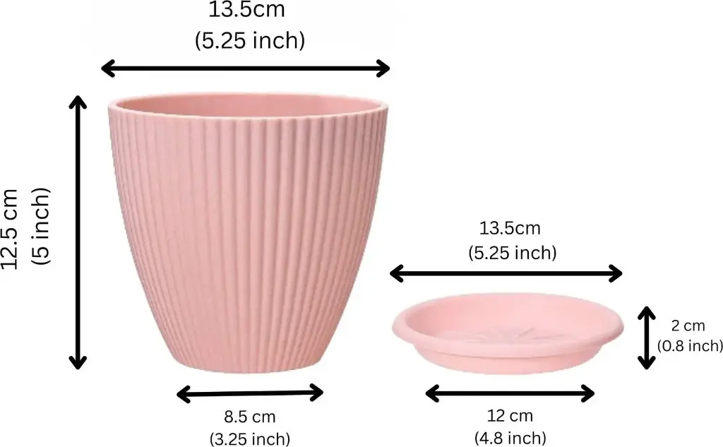 Flipkart SmartBuy Small Flower Pot Outdoor & Indoor Planters with Drainage Hole and Tray Plant Container Set  (Pack of 5, Plastic)-3.webp.jpg