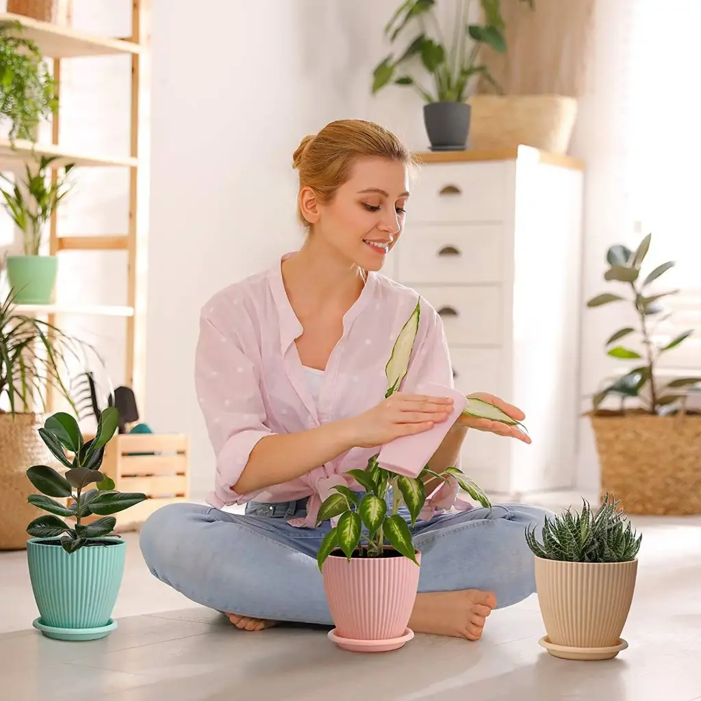 Flipkart SmartBuy Small Flower Pot Outdoor & Indoor Planters with Drainage Hole and Tray Plant Container Set  (Pack of 5, Plastic)-4.webp.jpg