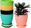 Indoor Plant Pot (Set of 5)