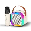 Rechargeable Wireless Karaoke Microphone with Bluetooth Speaker & LED Lights | Portable Mini Mic for Singing